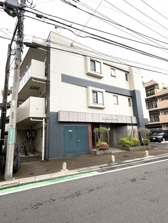 相模原市南区上鶴間本町、マンションの画像です