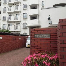 相模原市南区東林間、マンションの画像です