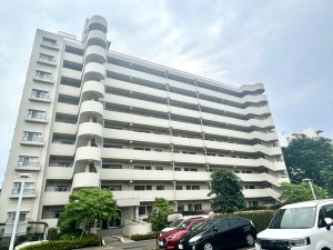相模原市南区相模大野、マンションの画像です