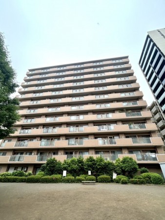 相模原市南区相模大野、マンションの画像です