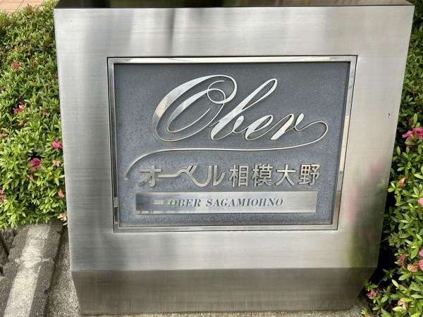 相模原市南区相模大野、マンションの画像です