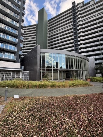 相模原市南区相模大野、マンションの画像です