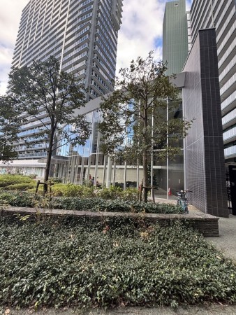 相模原市南区相模大野、マンションの画像です