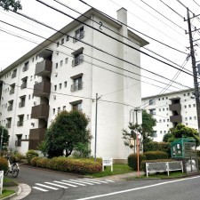 相模原市南区桜台、マンションの画像です