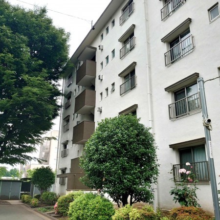 相模原市南区桜台、マンションの画像です