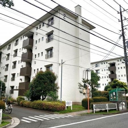 相模原市南区桜台、マンションの画像です