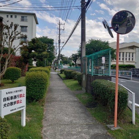 相模原市南区桜台、マンションの画像です
