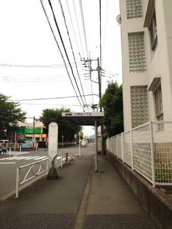 相模原市南区大野台、マンションの画像です