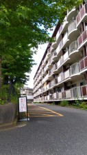 相模原市南区上鶴間本町、マンションの画像です