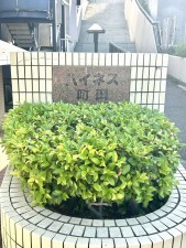相模原市南区鵜野森、マンションの画像です