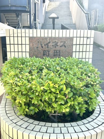 相模原市南区鵜野森、マンションの画像です