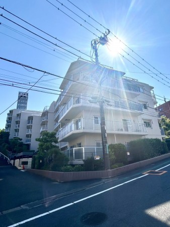相模原市南区鵜野森、マンションの画像です