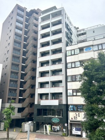 相模原市南区相模大野、マンションの画像です