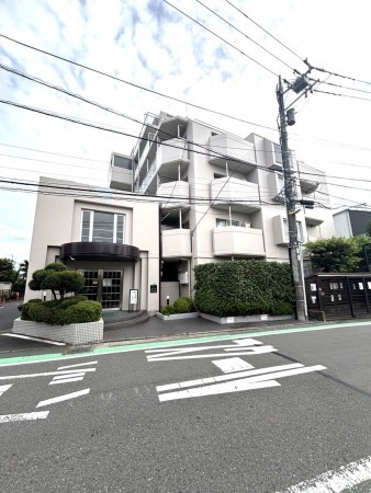 相模原市南区上鶴間本町、マンションの画像です