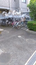 相模原市南区上鶴間本町、マンションの画像です