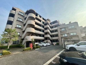 相模原市南区上鶴間本町、マンションの画像です