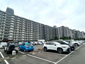 相模原市南区相模大野、マンションの画像です