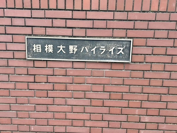 相模原市南区相模大野、マンションの画像です