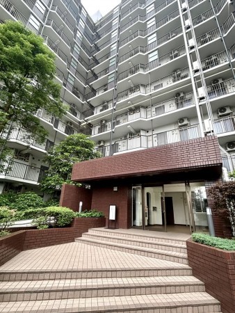 相模原市南区相模大野、マンションの画像です