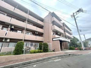 相模原市南区鵜野森、マンションの画像です