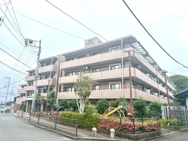 相模原市南区鵜野森、マンションの画像です