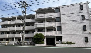 相模原市南区相模台、マンションの画像です