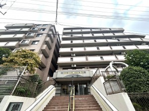 相模原市南区鵜野森、マンションの画像です