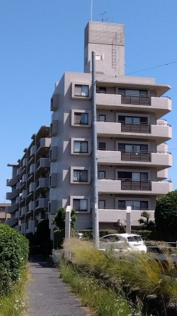 相模原市南区上鶴間本町、マンションの画像です