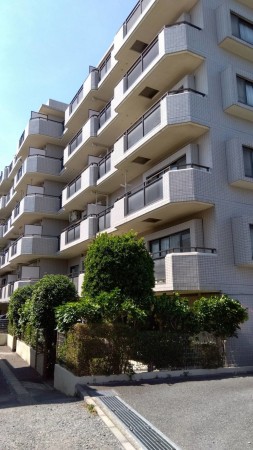 相模原市南区上鶴間本町、マンションの画像です