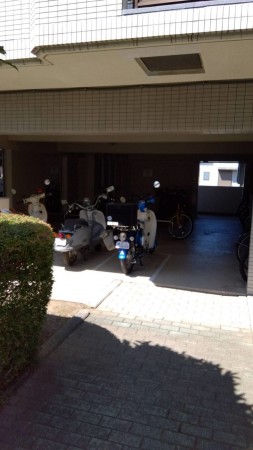 相模原市南区上鶴間本町、マンションの画像です