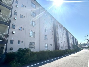 相模原市南区鵜野森、マンションの画像です