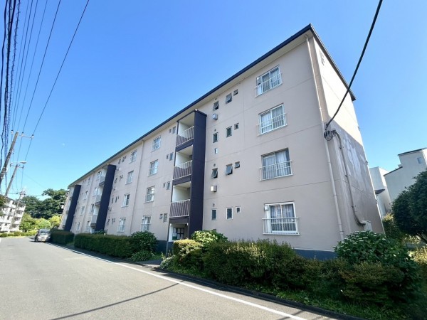 相模原市南区鵜野森、マンションの画像です