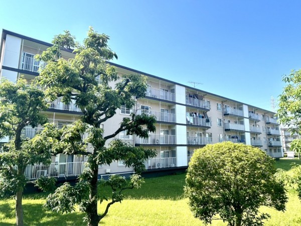 相模原市南区鵜野森、マンションの画像です