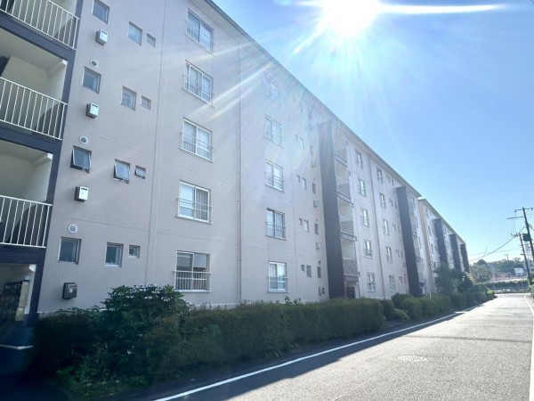 相模原市南区鵜野森、マンションの画像です