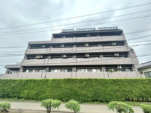 相模原市南区上鶴間本町、マンションの画像です