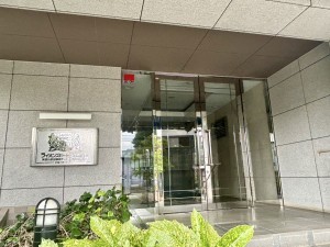 相模原市南区上鶴間本町、マンションの画像です