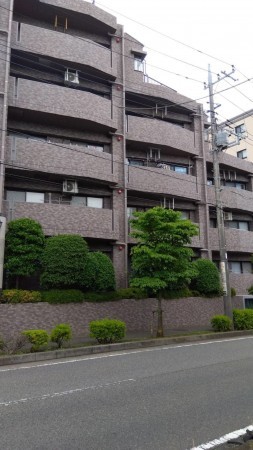 相模原市南区上鶴間本町、マンションの画像です