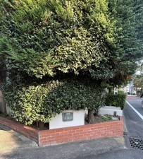 相模原市南区東林間、マンションの画像です