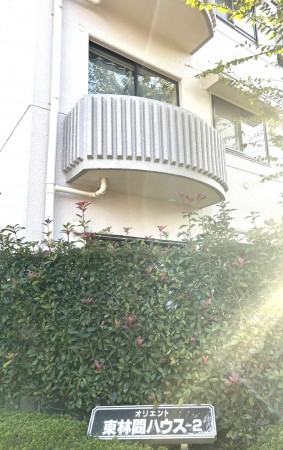 相模原市南区東林間、マンションの画像です