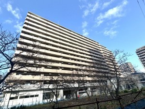 相模原市南区上鶴間本町、マンションの画像です