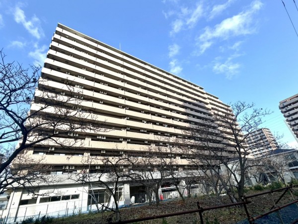 相模原市南区上鶴間本町、マンションの画像です