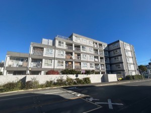 相模原市南区東林間、マンションの画像です