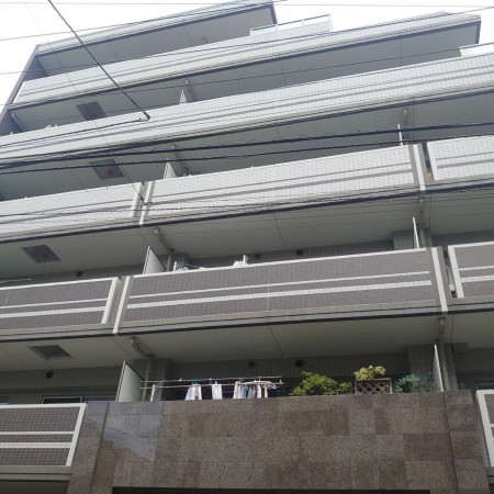 相模原市南区松が枝町、マンションの画像です