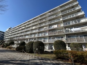 相模原市南区南台、マンションの画像です
