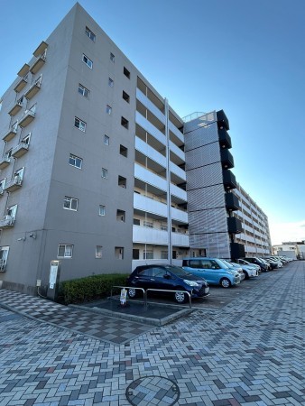 相模原市南区南台、マンションの画像です