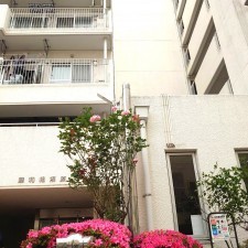 相模原市南区松が枝町、マンションの画像です