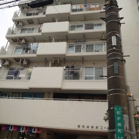 相模原市南区松が枝町、マンションの画像です