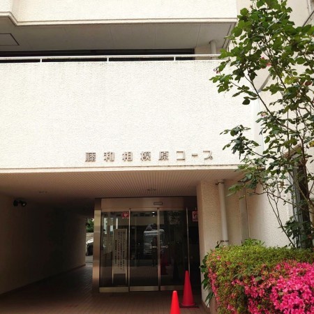 相模原市南区松が枝町、マンションの画像です