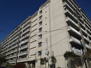 相模原市南区鵜野森、マンションの画像です