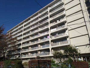 相模原市南区鵜野森、マンションの画像です